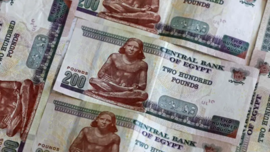 هل-يشهد-2026-انحيازاً-مصرفياً-أكبر-للتمويل-الإنتاجى؟