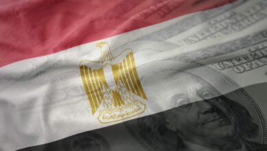 الدمج-والاستحواذ.-مفتاح-جذب-الاستثمارات-الأجنبية-إلى-مصر