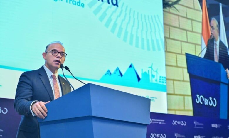 وزير-الاستثمار:-مصر-تنتقل-إلى-مرحلة-التطبيق-الشامل-لمنظومة-التمويل-المستدام