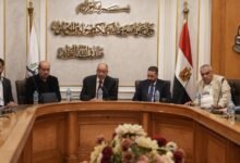 الحكومة-تصرف-مليار-جنيه-لشركات-المستلزمات-الطبية-الأسبوع-المقبل