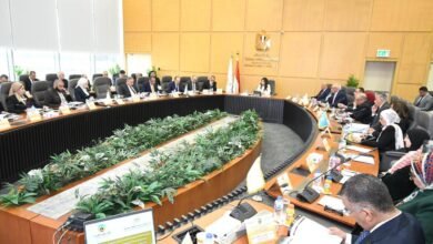 1.4-مليار-جنيه-صافي-أرباح-“المقاولون-العرب”-خلال-2024-2025