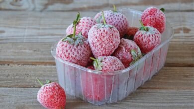 840-مليون-دولار-صادرات-مستهدفة-للفراولة-المصرية-المجمدة