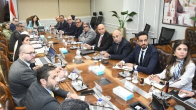 وزيرة-الإسكان-تبحث-مع-توريك-تطوير-آليات-الترويج-والخدمات-لتقديم-أفضل-تجربة-معيشية-بالمدن-الجديدة