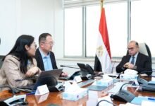 “هيميلي”-الصينية-تعتزم-استثمار-100-مليون-دولار-في-إنتاج-قوالب-الإطارات-بمصر