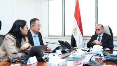 “هيميلي”-الصينية-تعتزم-استثمار-100-مليون-دولار-في-إنتاج-قوالب-الإطارات-بمصر