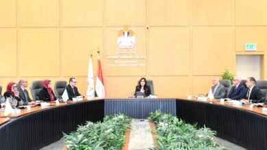 وزيرة-الإسكان-تتابع-مستجدات-ملفات-تقنين-الأوضاع-بالأراضى-المضافة-لعدد-من-المدن-الجديدة