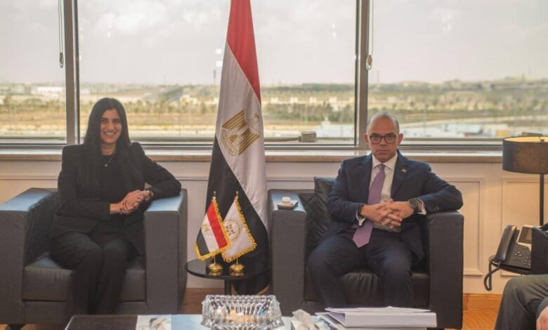 “الاستثمار”-تبحث-تطوير-آليات-عمل-صندوق-مصر-السيادي