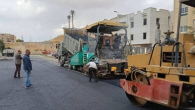 وزيرة-الإسكان-تتابع-تطوير-ومد-الطرق-والمرافق-بالمناطق-الصناعية-في-المدن-الجديدة