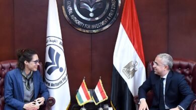 شركات-مجرية-مهتمة-بالاستثمار-في-قطاع-الطاقة-المتجددة-المصري