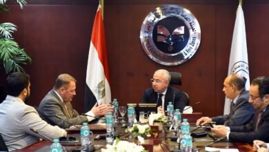 “جارديان-جلاس”-تستهدف-التوسع-في-صناعة-زجاج-واجهات-المباني-بمصر