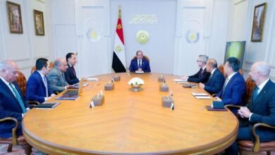 الرئيس-السيسي-يبحث-تعزيز-الاستثمارات-في-الطاقة-المتجددة-مع-شركتي-سكاتك-وإنفجين