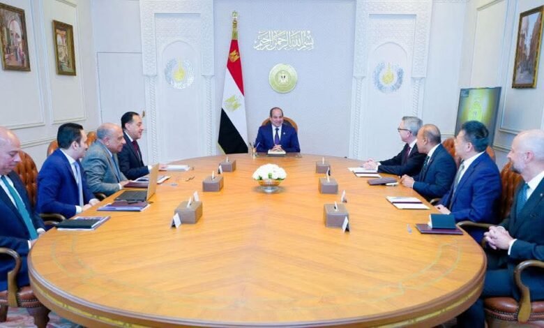 الرئيس-السيسي-يبحث-تعزيز-الاستثمارات-في-الطاقة-المتجددة-مع-شركتي-سكاتك-وإنفجين