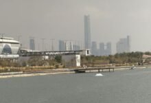 وزيرة-الإسكان-تكشف-معدلات-تنفيذ-مشروعات-الحدائق-المركزية-وحي-جاردن-سيتي-بالعاصمة-الجديدة