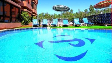 أرباح-“بيراميزا”-السنوية-تنمو-43%-إلى-858-مليون-جنيه