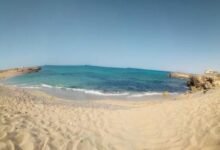 الديار-القطرية-تستلم-1500-فدان-للمرحلة-الأولى-من-مشروع-“علم-الروم”.-وطرحه-للحجز-بنهاية-العام