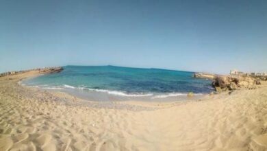 الديار-القطرية-تستلم-1500-فدان-للمرحلة-الأولى-من-مشروع-“علم-الروم”.-وطرحه-للحجز-بنهاية-العام