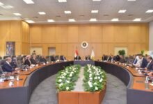 “الاستثمار”-و”الصناعة”-تبحثان-استراتيجية-تنمية-قطاع-الصناعات-الطبية-والدوائية