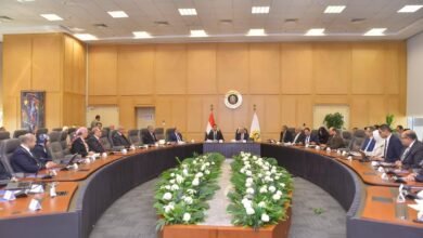 “الاستثمار”-و”الصناعة”-تبحثان-استراتيجية-تنمية-قطاع-الصناعات-الطبية-والدوائية