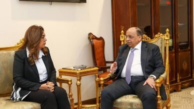 وزيرة-التنمية-المحلية-تستعرض التنفيذي-لمنظومة-التقنين-والتصالح-على-بعض-مخالفات-البناء