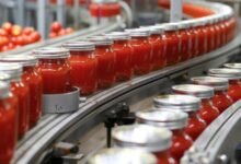 “الوزراء”:-قفزة-نوعية-بقطاع-الصناعات-الغذائية-رغم-التوترات-العالمية-والإقليمية