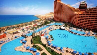 أرباح-“ايه-كابيتال”-السنوية-تقفز-إلى-717.9-مليون-جنيه