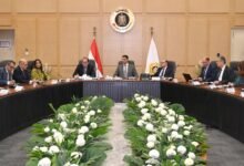 تشكيل-مجموعة-عمل-لمراجعة-برنامج-تنمية-صناعة-السيارات-لجذب-استثمارات-جديدة