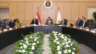 تشكيل-مجموعة-عمل-لمراجعة-برنامج-تنمية-صناعة-السيارات-لجذب-استثمارات-جديدة