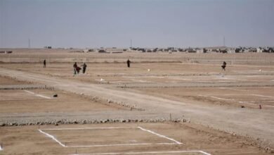 مجلس-الوزراء-يوافق-على-40-طلب-لتخصيص-أراضي-بنظام-البيع-بالدولار