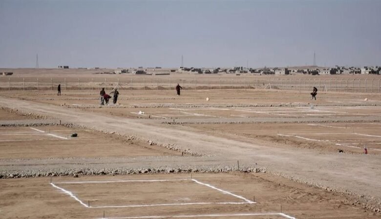 مجلس-الوزراء-يوافق-على-40-طلب-لتخصيص-أراضي-بنظام-البيع-بالدولار