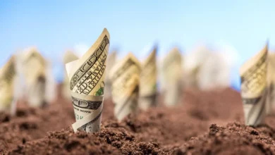 الحكومة-توافق-على-بيع-40-قطعة-أرض-بالدولار-في-16-مدينة-جديدة