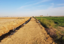 “العليا-لاسترداد-الأراضي”-تتلقى-91-ألف-طلب-تقنين-عبر-المنصة-الإلكترونية