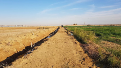 “العليا-لاسترداد-الأراضي”-تتلقى-91-ألف-طلب-تقنين-عبر-المنصة-الإلكترونية