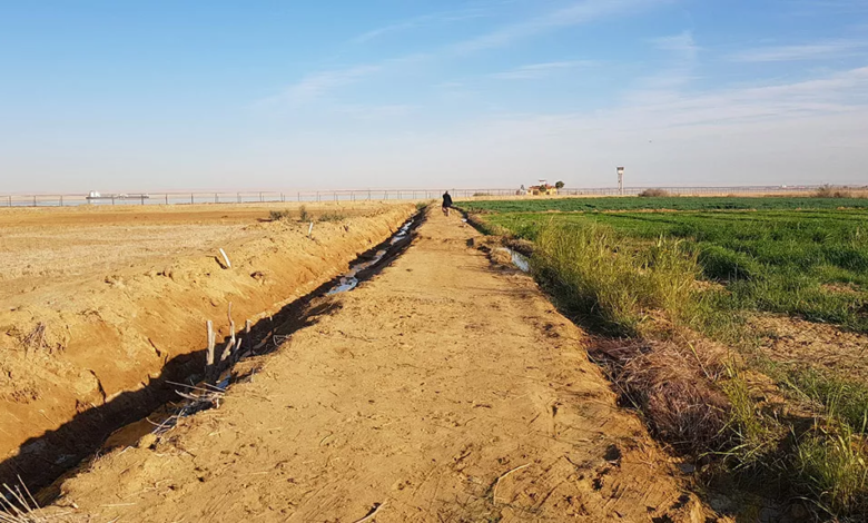 “العليا-لاسترداد-الأراضي”-تتلقى-91-ألف-طلب-تقنين-عبر-المنصة-الإلكترونية