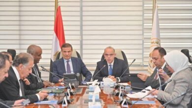 الحكومة-تبحث-تأسيس-كيان-متخصص-للاستثمار-في-أفريقيا