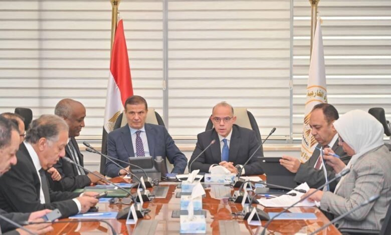 الحكومة-تبحث-تأسيس-كيان-متخصص-للاستثمار-في-أفريقيا