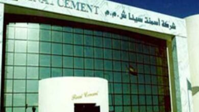 أرباح-“أسمنت-سيناء”-تتراجع-25.4%-خلال-2025