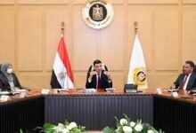 وزير-الصناعة-يبحث-مع-“دي-كود-للاستشارات”-مستجدات-استراتيجية-القطاع