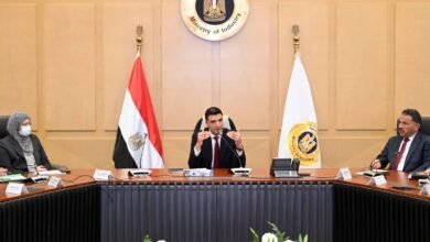 وزير-الصناعة-يبحث-مع-“دي-كود-للاستشارات”-مستجدات-استراتيجية-القطاع