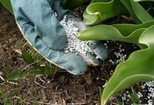 عمومية-“فيركيم”-تضيف-مدينة-السادات-لمقار-انعقادها