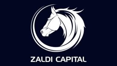 “زالدى-للاستثمارات”-تخطط-لزيادة-رأس-المال-تمهيدًا-للطرح-فى-البورصة