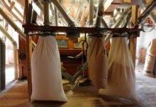 “مطاحن-غرب-الدلتا”-تستهدف-ربح-170.5-مليون-جنيه-بموازنة-2026-2027