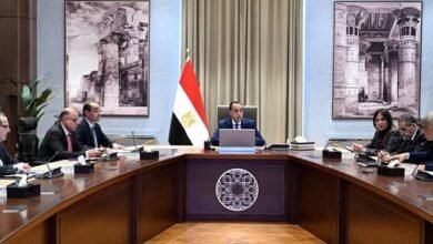 رئيس-الوزراء-يستعرض-خطط-“مجموعة-طلعت-مصطفى”-لضخ-مزيد-من-الاستثمارات-خلال-الفترة-القادمة