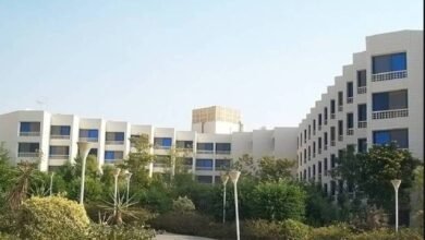 “الجيزة-للمقاولات”-تربح-141-مليون-جنيه-خلال-2025-بنمو-97%