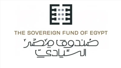 “الاستثمار”:-الصندوق-السيادى-يدعو-للتقدم-بعروض-فنية-ومالية-لإدارة-طرح-20%-من-“مصر-لتأمينات-الحياة”