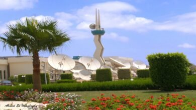 عمومية-“نايل-سات”-تُقر-توزيع-65-سنتًا-للسهم