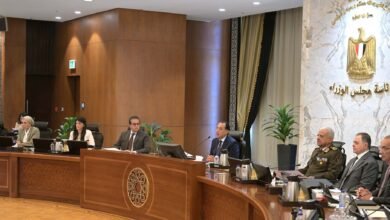 مجلس-الوزراء-يصدر-قرارات-جديدة-لدعم-لدعم-عدة-مجالات-منها-الطاقة-والبنية-التحتية