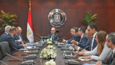 تحالف-“رينيرجى-جروب”-يعتزم-إنشاء-مركز-بيانات-عالمى-فى-سيناء-باستثمارات-مليار-دولار