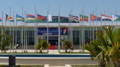 أونكتاد:-مصر-تقود-منطقة-الكوميسا-لطفرة-تاريخية-فى-تدفقات-الاستثمار-الأجنبى