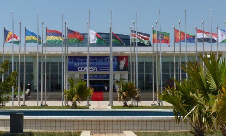 أونكتاد:-مصر-تقود-منطقة-الكوميسا-لطفرة-تاريخية-فى-تدفقات-الاستثمار-الأجنبى