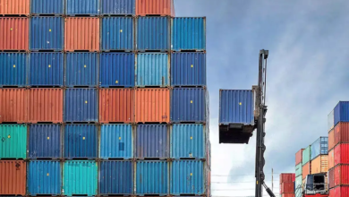 “الوزراء”:-المناطق-الحرة-تُعيد-رسم-خريطة-الاستثمار-والتجارة-في-مصر